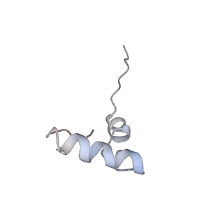 11890_7as9_h_v1-2
Bacillus subtilis ribosome-associated quality control complex state A. Ribosomal 50S subunit with peptidyl tRNA in the A/P position and RqcH.