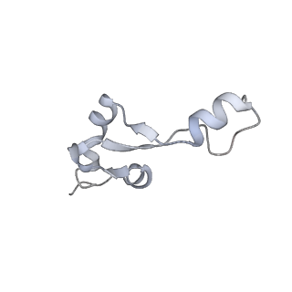 11890_7as9_i_v1-2
Bacillus subtilis ribosome-associated quality control complex state A. Ribosomal 50S subunit with peptidyl tRNA in the A/P position and RqcH.
