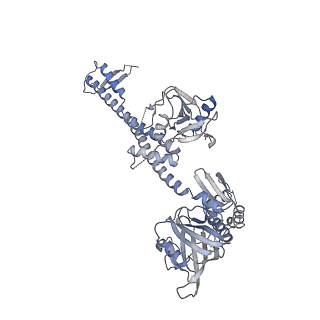 11891_7asa_0_v1-2
Bacillus subtilis ribosome-associated quality control complex state B, multibody refinement focussed on RqcH. Ribosomal 50S subunit with P-tRNA, RqcH, and RqcP/YabO