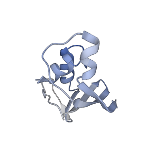 11891_7asa_1_v1-2
Bacillus subtilis ribosome-associated quality control complex state B, multibody refinement focussed on RqcH. Ribosomal 50S subunit with P-tRNA, RqcH, and RqcP/YabO