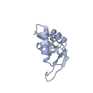 11891_7asa_K_v1-2
Bacillus subtilis ribosome-associated quality control complex state B, multibody refinement focussed on RqcH. Ribosomal 50S subunit with P-tRNA, RqcH, and RqcP/YabO