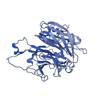 11892_7asd_HA_v1-0
Structure of native royal jelly filaments