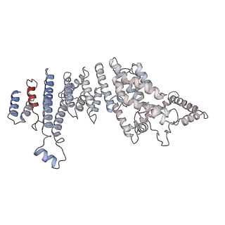 11893_7ase_8_v1-1
43S preinitiation complex from Trypanosoma cruzi with the kDDX60 helicase