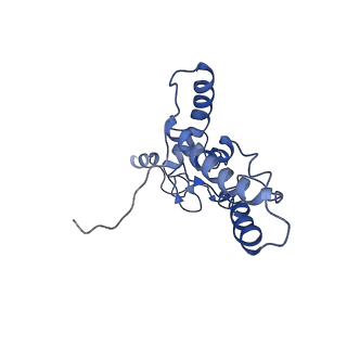 11893_7ase_B_v1-1
43S preinitiation complex from Trypanosoma cruzi with the kDDX60 helicase