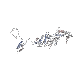 11893_7ase_C_v1-1
43S preinitiation complex from Trypanosoma cruzi with the kDDX60 helicase
