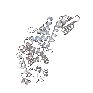 11893_7ase_E_v1-1
43S preinitiation complex from Trypanosoma cruzi with the kDDX60 helicase