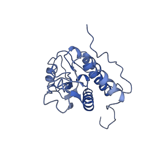 11893_7ase_F_v1-1
43S preinitiation complex from Trypanosoma cruzi with the kDDX60 helicase