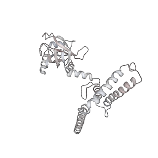 11893_7ase_G_v1-1
43S preinitiation complex from Trypanosoma cruzi with the kDDX60 helicase