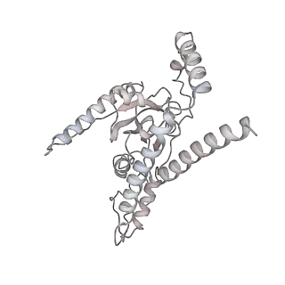 11893_7ase_H_v1-1
43S preinitiation complex from Trypanosoma cruzi with the kDDX60 helicase