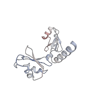 11893_7ase_J_v1-1
43S preinitiation complex from Trypanosoma cruzi with the kDDX60 helicase