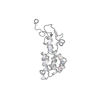 11893_7ase_K_v1-1
43S preinitiation complex from Trypanosoma cruzi with the kDDX60 helicase