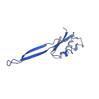 11893_7ase_L_v1-1
43S preinitiation complex from Trypanosoma cruzi with the kDDX60 helicase