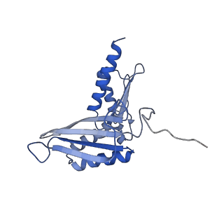 11893_7ase_M_v1-1
43S preinitiation complex from Trypanosoma cruzi with the kDDX60 helicase