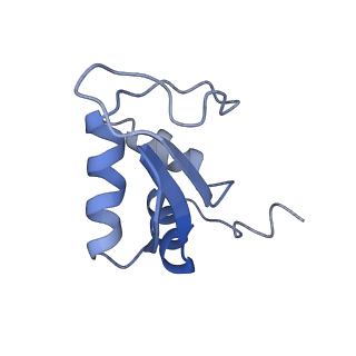 11893_7ase_N_v1-1
43S preinitiation complex from Trypanosoma cruzi with the kDDX60 helicase