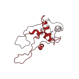 11893_7ase_O_v1-1
43S preinitiation complex from Trypanosoma cruzi with the kDDX60 helicase