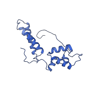 11893_7ase_R_v1-1
43S preinitiation complex from Trypanosoma cruzi with the kDDX60 helicase