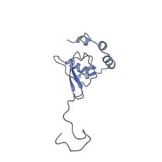 11893_7ase_T_v1-1
43S preinitiation complex from Trypanosoma cruzi with the kDDX60 helicase