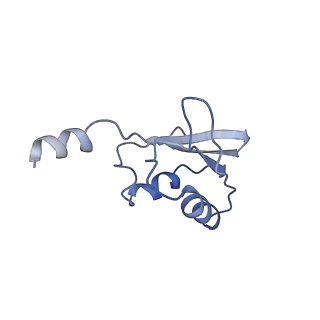 11893_7ase_V_v1-1
43S preinitiation complex from Trypanosoma cruzi with the kDDX60 helicase