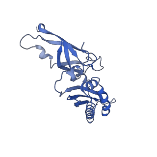 11893_7ase_W_v1-1
43S preinitiation complex from Trypanosoma cruzi with the kDDX60 helicase