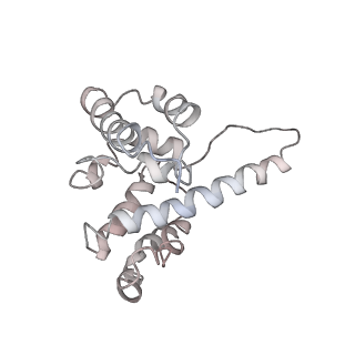 11893_7ase_Y_v1-1
43S preinitiation complex from Trypanosoma cruzi with the kDDX60 helicase