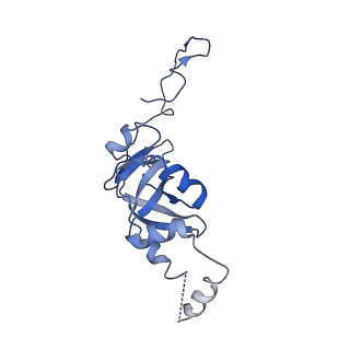 11893_7ase_Z_v1-1
43S preinitiation complex from Trypanosoma cruzi with the kDDX60 helicase