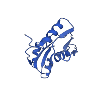 11893_7ase_b_v1-1
43S preinitiation complex from Trypanosoma cruzi with the kDDX60 helicase