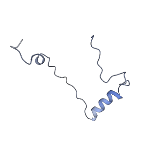 11893_7ase_c_v1-1
43S preinitiation complex from Trypanosoma cruzi with the kDDX60 helicase