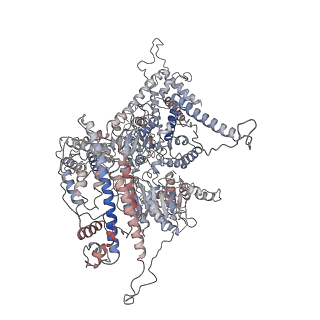 11893_7ase_f_v1-1
43S preinitiation complex from Trypanosoma cruzi with the kDDX60 helicase