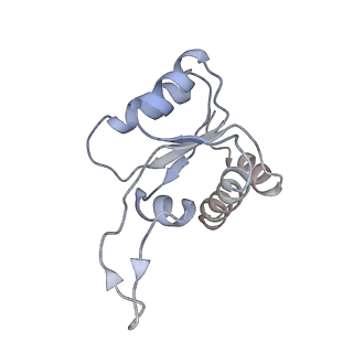 11893_7ase_h_v1-1
43S preinitiation complex from Trypanosoma cruzi with the kDDX60 helicase