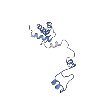 11893_7ase_i_v1-1
43S preinitiation complex from Trypanosoma cruzi with the kDDX60 helicase
