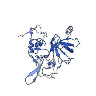 11893_7ase_l_v1-1
43S preinitiation complex from Trypanosoma cruzi with the kDDX60 helicase