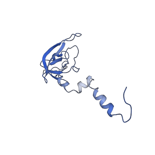 11893_7ase_m_v1-1
43S preinitiation complex from Trypanosoma cruzi with the kDDX60 helicase