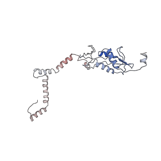 11893_7ase_n_v1-1
43S preinitiation complex from Trypanosoma cruzi with the kDDX60 helicase