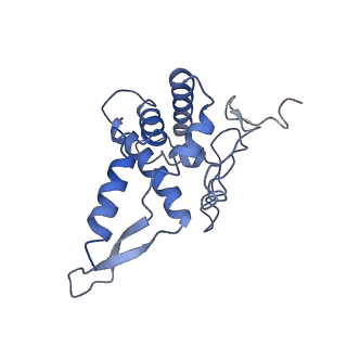 11893_7ase_o_v1-1
43S preinitiation complex from Trypanosoma cruzi with the kDDX60 helicase
