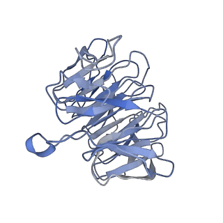 11893_7ase_p_v1-1
43S preinitiation complex from Trypanosoma cruzi with the kDDX60 helicase