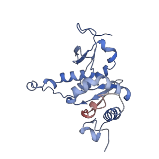 11893_7ase_q_v1-1
43S preinitiation complex from Trypanosoma cruzi with the kDDX60 helicase