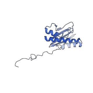 11893_7ase_r_v1-1
43S preinitiation complex from Trypanosoma cruzi with the kDDX60 helicase