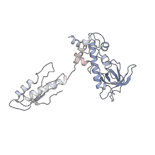 11893_7ase_s_v1-1
43S preinitiation complex from Trypanosoma cruzi with the kDDX60 helicase