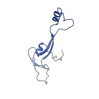 11893_7ase_t_v1-1
43S preinitiation complex from Trypanosoma cruzi with the kDDX60 helicase