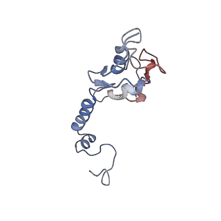 11893_7ase_u_v1-1
43S preinitiation complex from Trypanosoma cruzi with the kDDX60 helicase