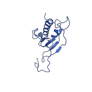 11893_7ase_v_v1-1
43S preinitiation complex from Trypanosoma cruzi with the kDDX60 helicase