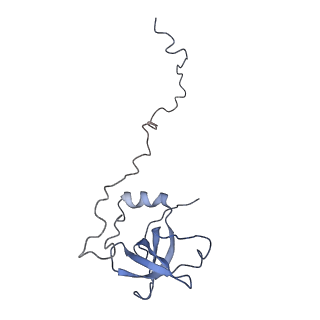 11893_7ase_w_v1-1
43S preinitiation complex from Trypanosoma cruzi with the kDDX60 helicase