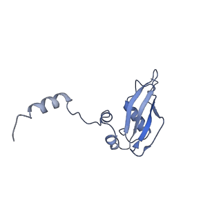 11893_7ase_y_v1-1
43S preinitiation complex from Trypanosoma cruzi with the kDDX60 helicase