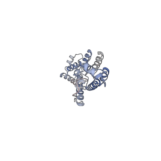 11894_7ash_C_v1-1
HIV-1 Gag immature lattice. GagdeltaMASP1T8I