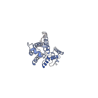 11894_7ash_D_v1-1
HIV-1 Gag immature lattice. GagdeltaMASP1T8I
