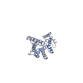 11894_7ash_E_v1-1
HIV-1 Gag immature lattice. GagdeltaMASP1T8I