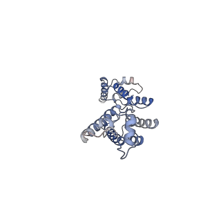 11894_7ash_F_v1-1
HIV-1 Gag immature lattice. GagdeltaMASP1T8I