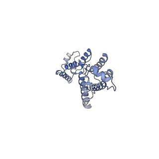 11894_7ash_G_v1-1
HIV-1 Gag immature lattice. GagdeltaMASP1T8I