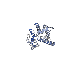 11894_7ash_H_v1-1
HIV-1 Gag immature lattice. GagdeltaMASP1T8I