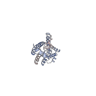 11894_7ash_P_v1-1
HIV-1 Gag immature lattice. GagdeltaMASP1T8I